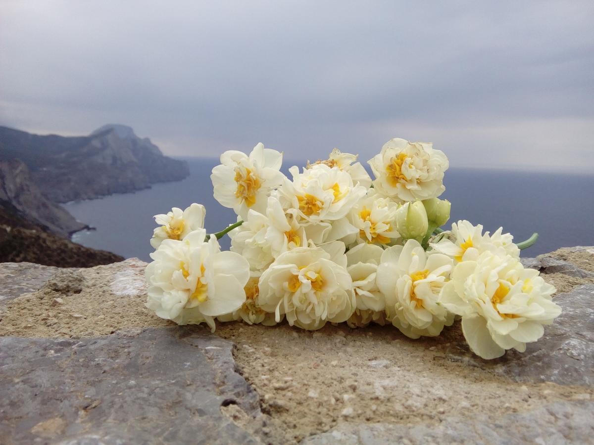 Apartmán Olympos Archipelagos Exteriér fotografie